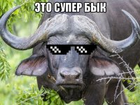 это супер бык 