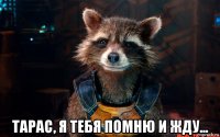  тарас, я тебя помню и жду...