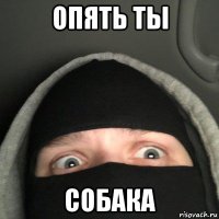 опять ты собака