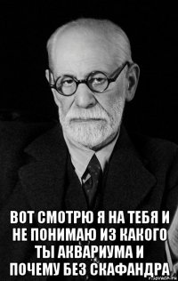  вот смотрю я на тебя и не понимаю из какого ты аквариума и почему без скафандра