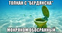 толкан с "бердянска" мокряком обосранный