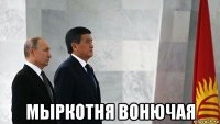  мыркотня вонючая