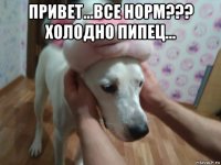 привет...все норм??? холодно пипец... 