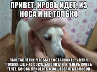 привет. кровь идет. из носа и не только пью таблетки, чтобы её остановить. у меня похоже шде-то сосудылопнули, и теперь кровь течет. боюсь присесть и пошевелить головой