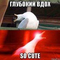 глубокий вдох so cute