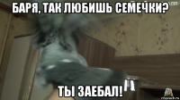 баря, так любишь семечки? ты заебал!