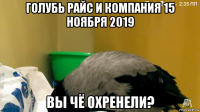 голубь райс и компания 15 ноября 2019 вы чё охренели?