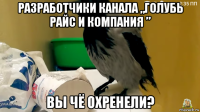 разработчики канала „голубь райс и компания ” вы чё охренели?