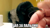  цап за пальчик