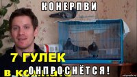 к о н е р п в и о н п р о с н ё т с я !