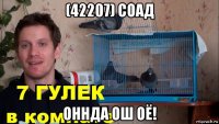 (42207) соад оннда ош оё!
