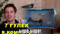  ышо-ышо!