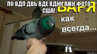 по вдп двь вде вднк ажк фото сша! 