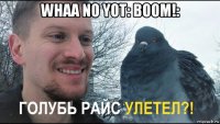 whaa no yot: boom!: 