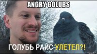 angry golubs 