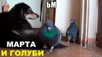 ьм 