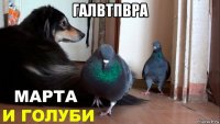 галвтпвра 
