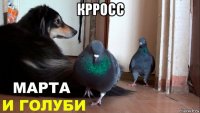 крросс 