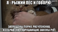 я - рыжий пёс и говорю: запрещены порно, расчлененка, изображения, нарушающие законы рф!