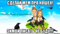 сделай мем про кошек! зимой писать не буду!!!