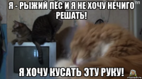 я - рыжий пёс и я не хочу нечиго решать! я хочу кусать эту руку!