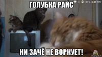 голубка райс ни зачё не воркует!