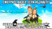 смотрите видео, если не знаете! нажмите на ютуб введите „голубь райс” и смотрите. если узнаете напишите!