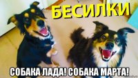  собака лада! собака марта!