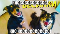 кисссссссссссс! кис ксссссссссссс!