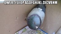 qwertyuiop asdfghjkl zxcvbnm 