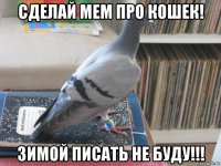 сделай мем про кошек! зимой писать не буду!!!