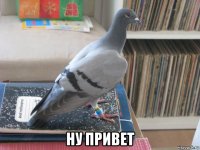  ну привет