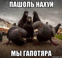 пашоль нахуй мы гапотяра