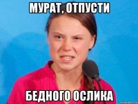 мурат, отпусти бедного ослика