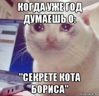когда уже год думаешь о: "секрете кота бориса"