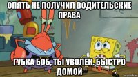 опять не получил водительские права губка боб, ты уволен. быстро домой