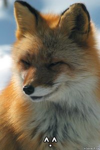  ^.^