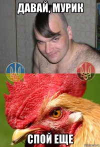 давай, мурик спой еще