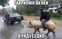 гаврилюк на ней в раду ездил