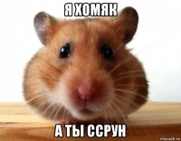 я хомяк а ты ссрун