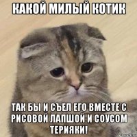 какой милый котик так бы и съел его вместе с рисовой лапшой и соусом терияки!