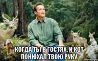  когда ты в гостях, и кот понюхал твою руку