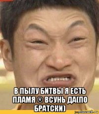  в пылу битвы я есть пламя ® всунь да(по братски)