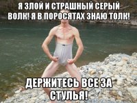 я злой и страшный серый волк! я в поросятах знаю толк! держитесь все за стулья!