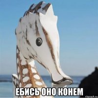  ебись оно конем