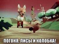  погоня, лисы и колобка!