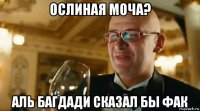 ослиная моча? аль багдади сказал бы фак
