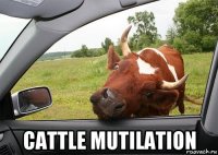  cattle mutilation