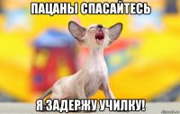 пацаны спасайтесь я задержу училку!