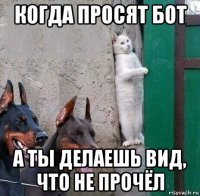когда просят бот а ты делаешь вид, что не прочёл